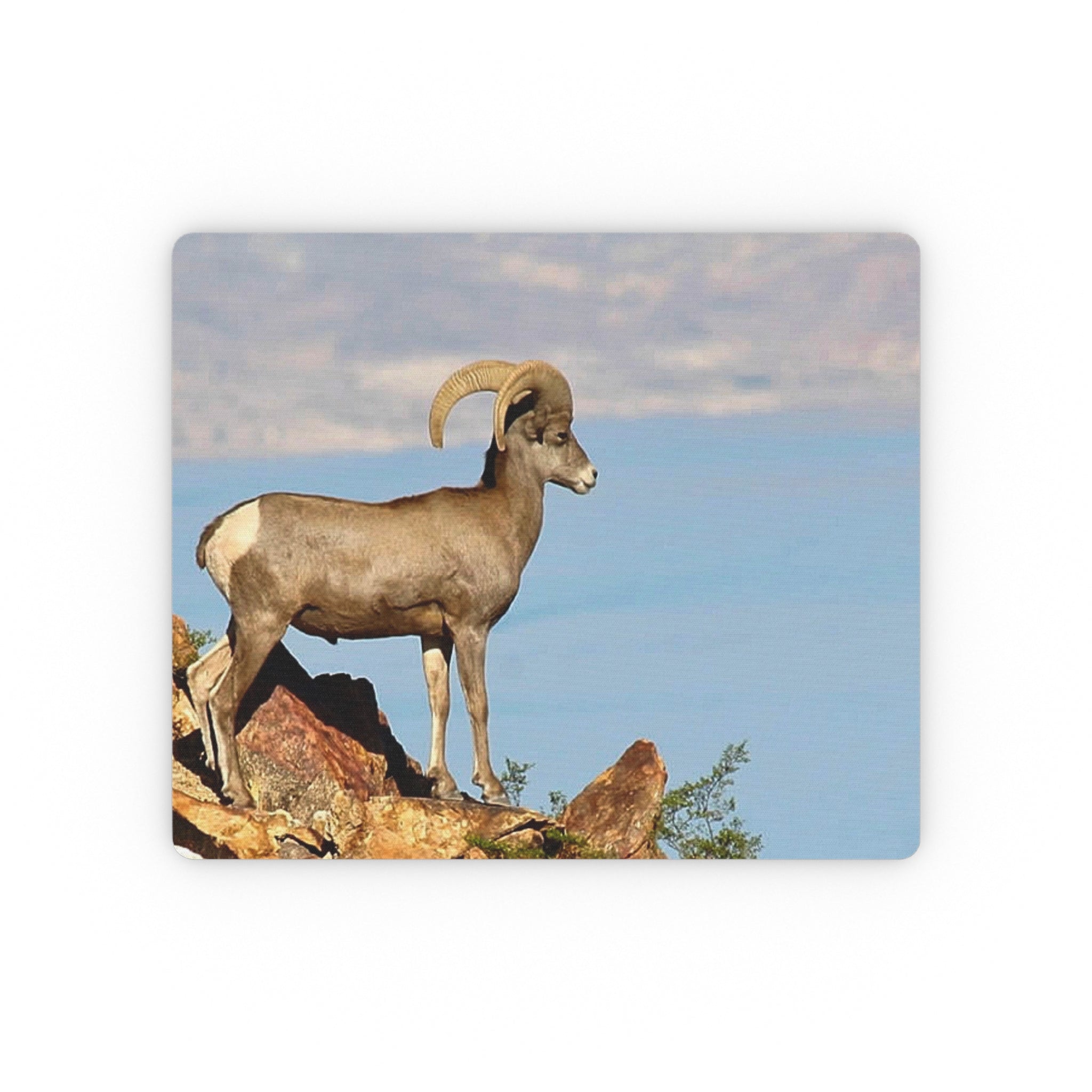 Big Horn Ram #2 - "Boulder City, NV" - Mouse Pad