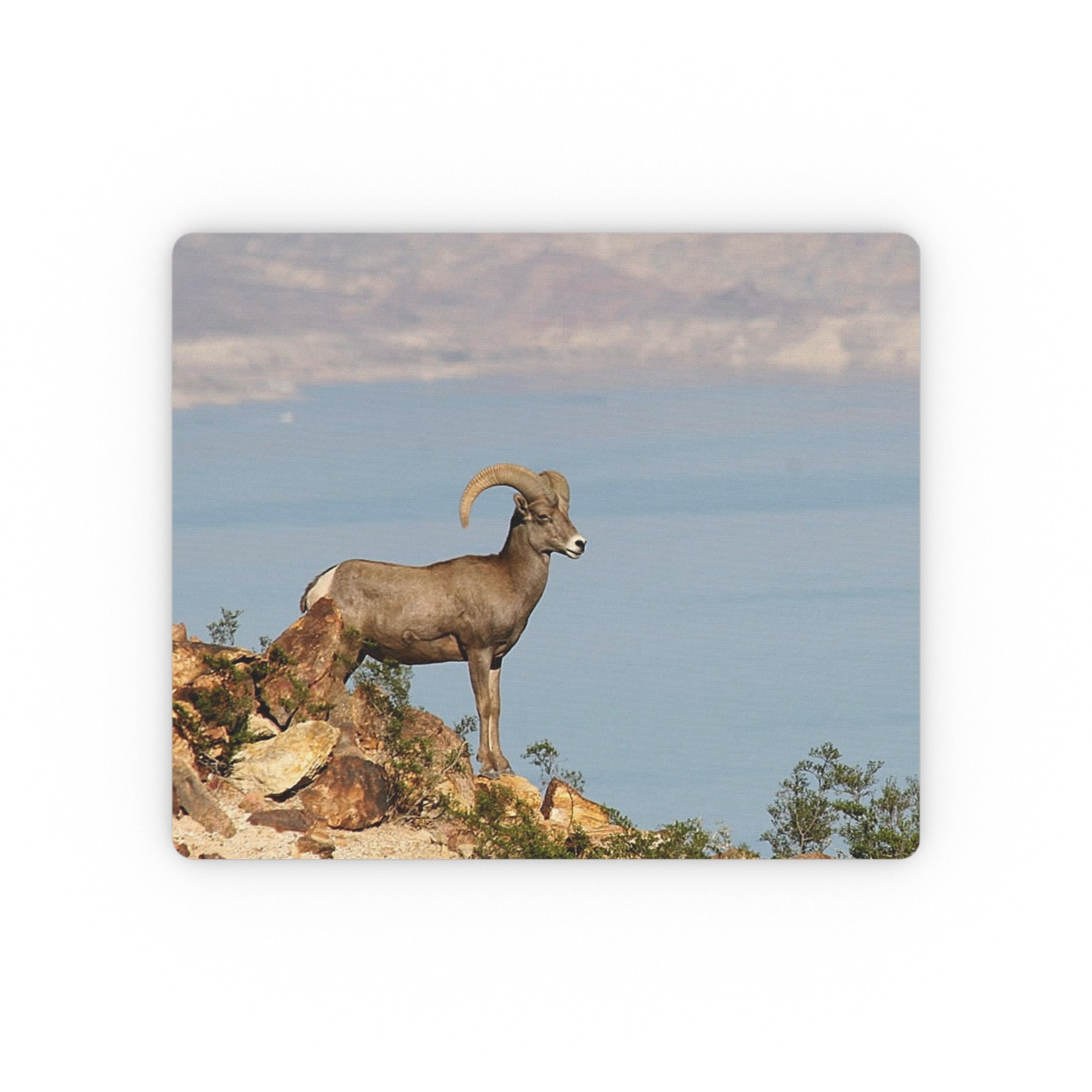 Big Horn Ram #1 - "Boulder City, NV" - Mouse Pad